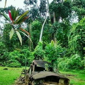 Meet your Posher, Elaysa